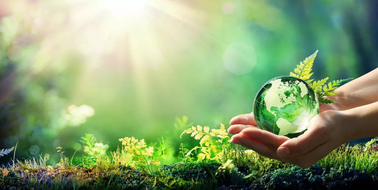 Nortriptilina e o Meio Ambiente: Uma Perspectiva Verde